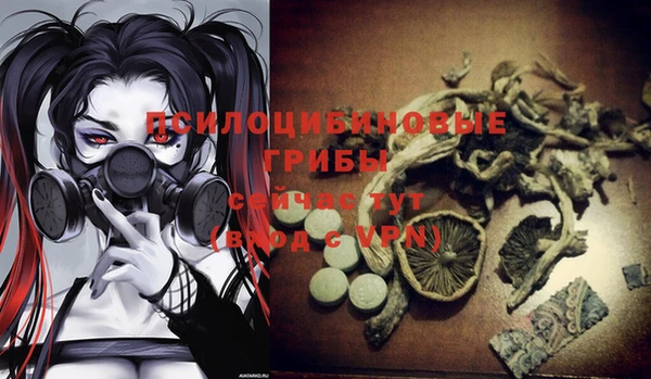 стаф Козловка