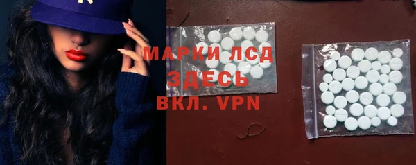 стаф Козловка