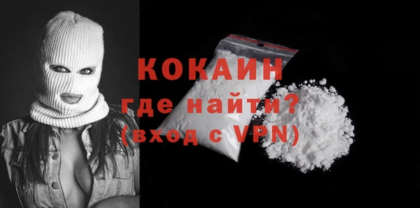 стаф Козловка