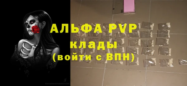 стаф Козловка