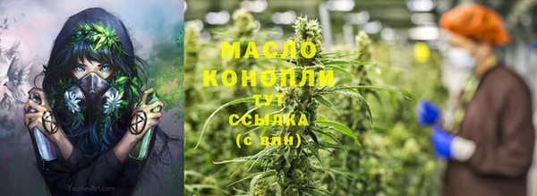 стаф Козловка