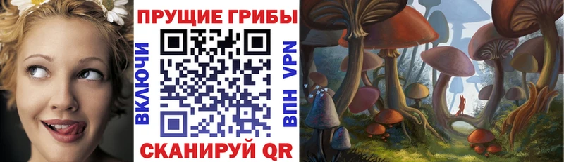 Галлюциногенные грибы мицелий  Купить закладки  Учалы 